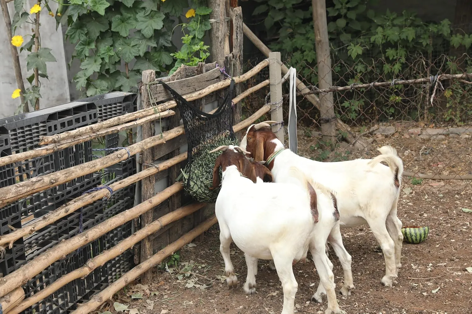 4-Pack Black Hay Nets for Slow Feeding - 31.4" × 35.4" Large Capacity Hay Bags with 2" x 2" Small Holes, Easy to Hang for Full-Day Horse and Goat Feeding in Stalls and on Trails