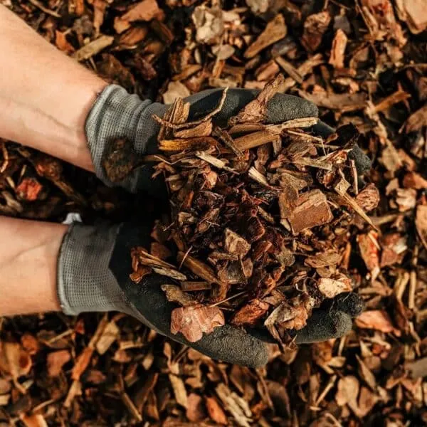 Heart of Eden Decorative Bark 60L bags