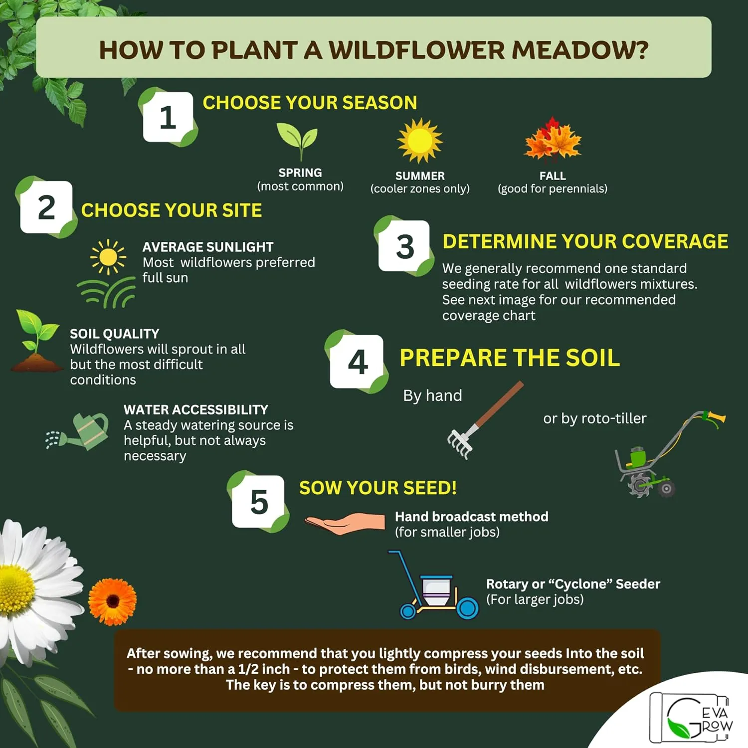 Midwest Wildflower Seeds Regional Mix - Organic, Non-GMO - 100% Pure Seed - 21 Different Wildflowers Seeds of Annual and Perennial, 1 LB Tub