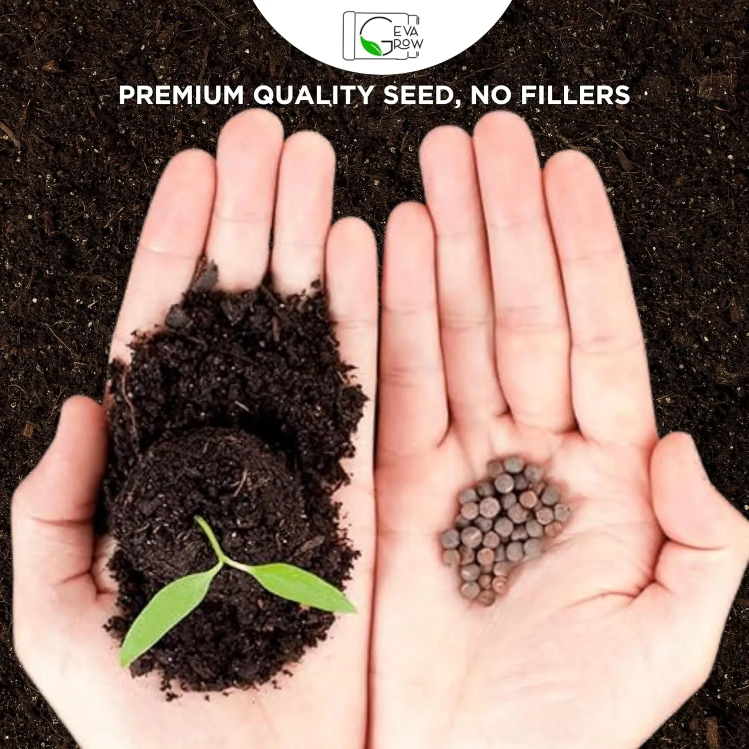Midwest Wildflower Seeds Regional Mix - Organic, Non-GMO - 100% Pure Seed - 21 Different Wildflowers Seeds of Annual and Perennial, 1 LB Tub