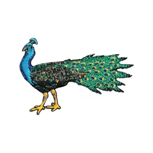 Peacock Patch