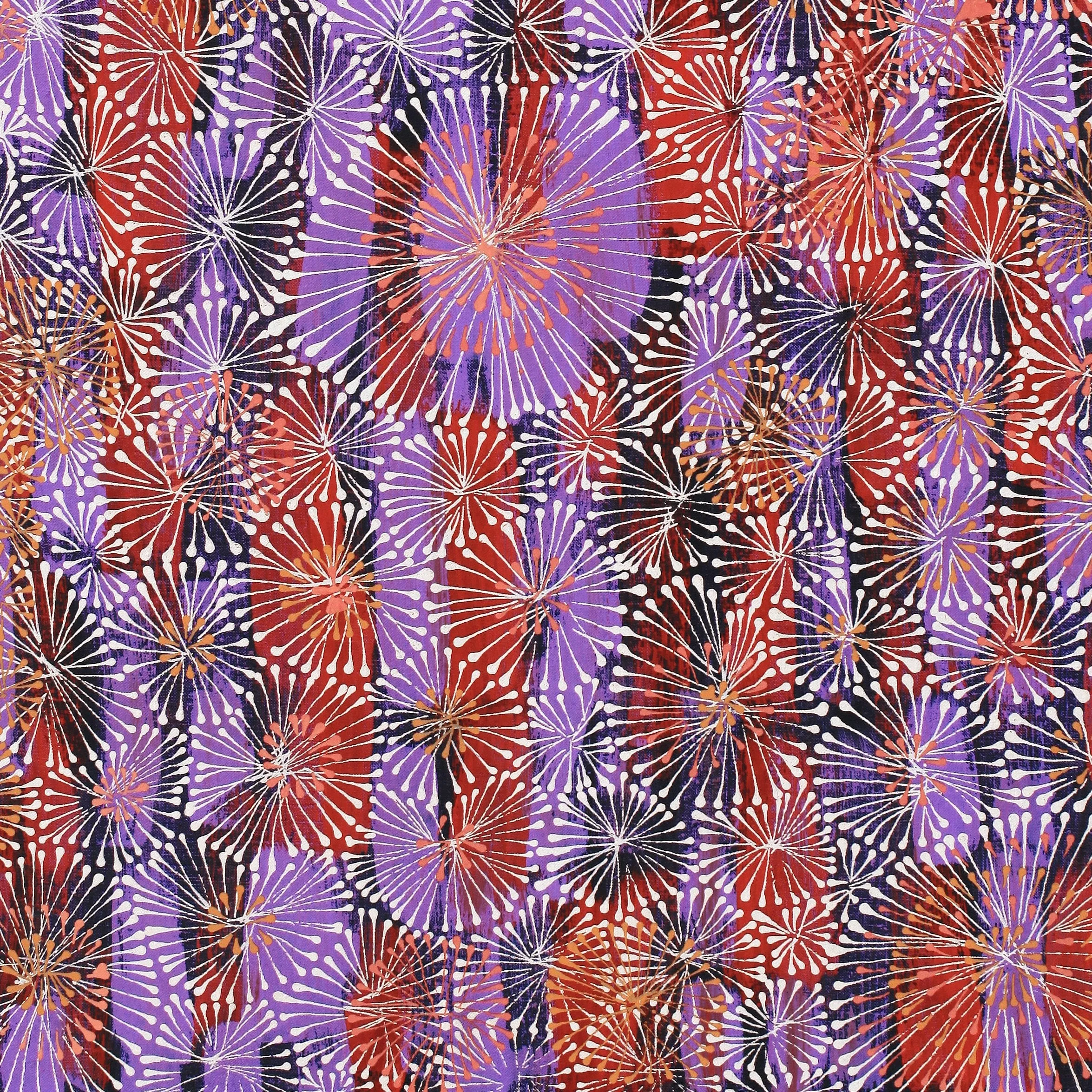 Sylvaria Napurrurla Walker, Jitilypuru Jukurrpa, 91x61cm