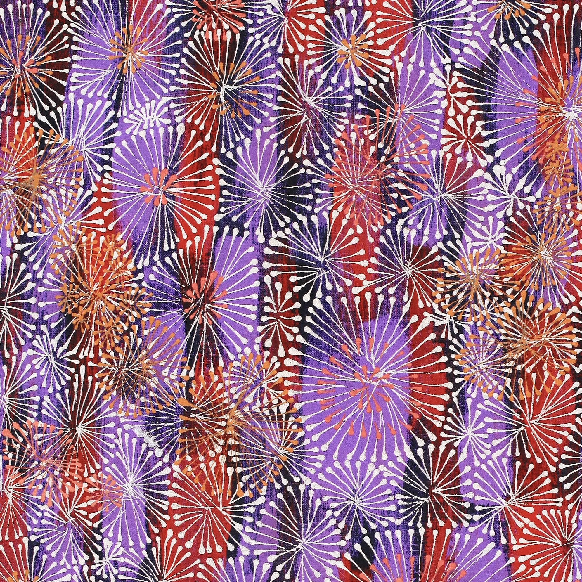Sylvaria Napurrurla Walker, Jitilypuru Jukurrpa, 91x61cm