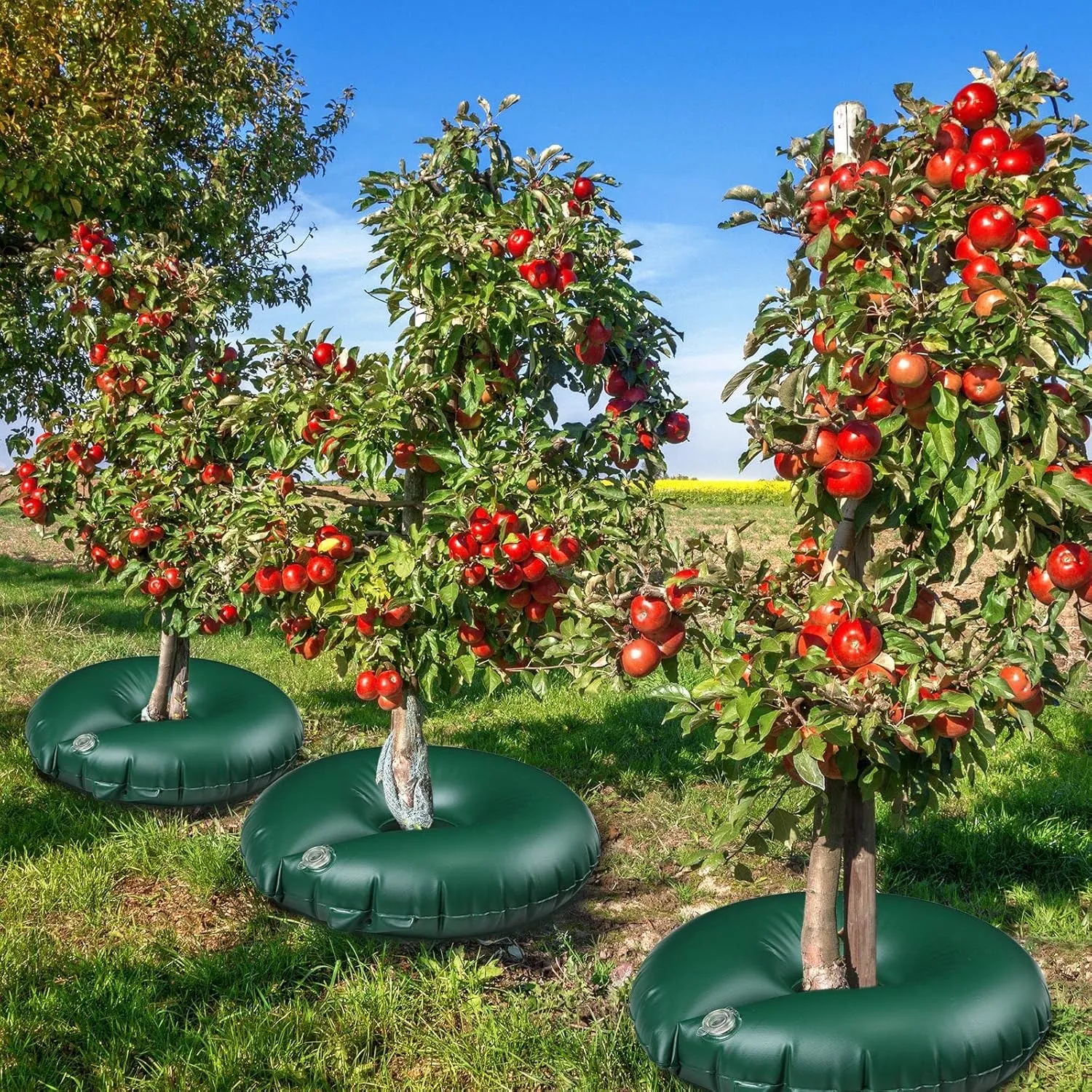 TaoBary 8 Pcs 10 Gallon Tree Watering Ring Bag Slow Release Watering Bag Deep Root Automatic Drip System PVC Drip Irrigation Pouch Donuts for Newly Planted Multi Trunk Trees Shrubs (Green)
